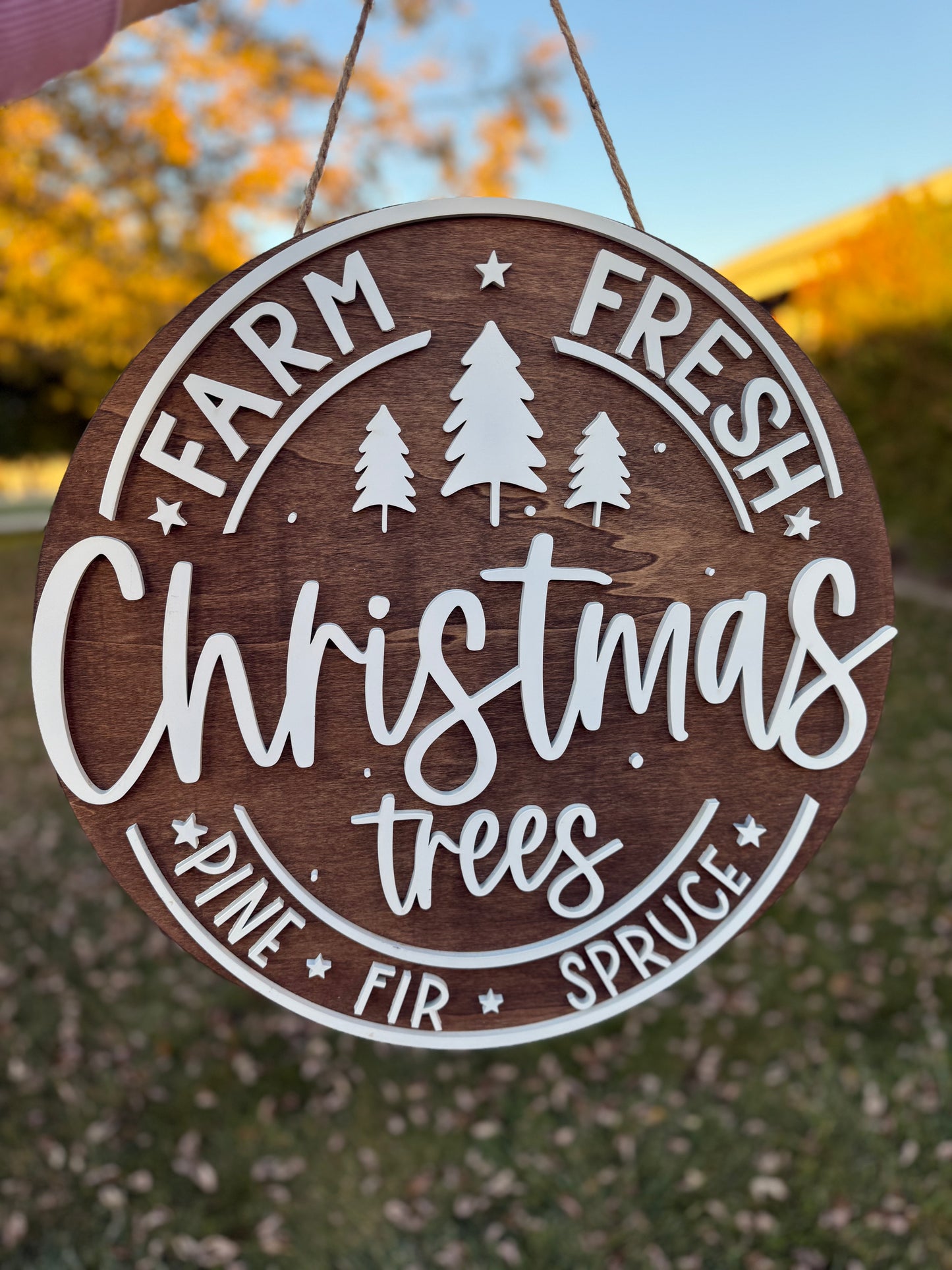 Christmas Wall sign/door hanger